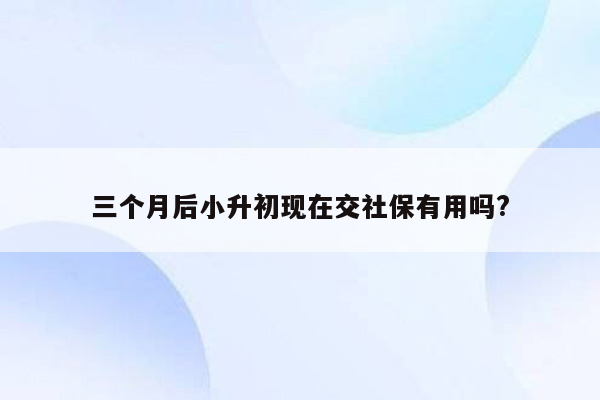 三个月后小升初现在交社保有用吗?