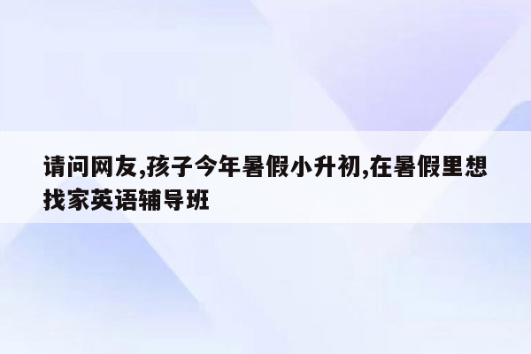 请问网友,孩子今年暑假小升初,在暑假里想找家英语辅导班