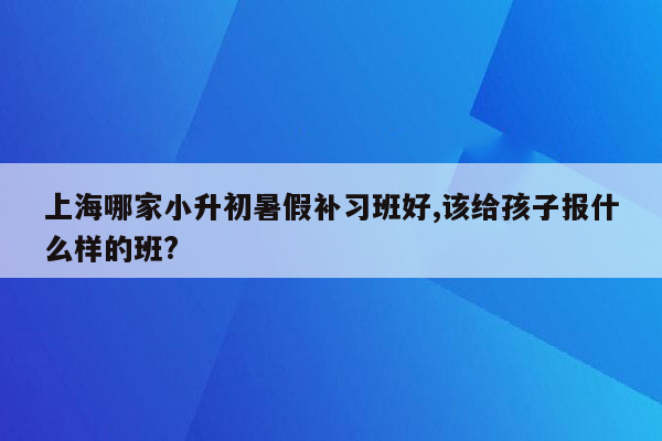 上海哪家小升初暑假补习班好,该给孩子报什么样的班?