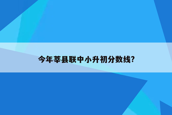 今年莘县联中小升初分数线?