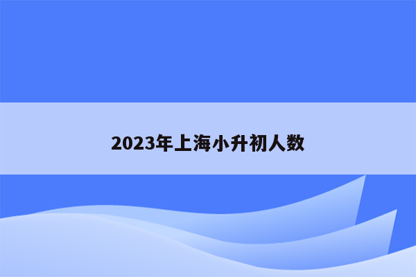 2023年上海小升初人数