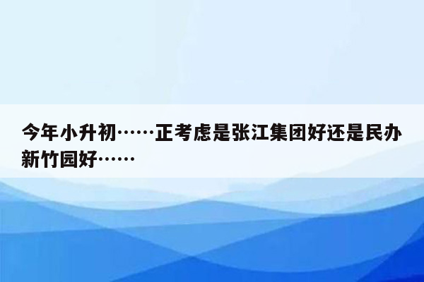 今年小升初……正考虑是张江集团好还是民办新竹园好……