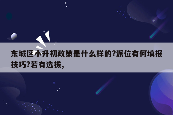 东城区小升初政策是什么样的?派位有何填报技巧?若有选拔,