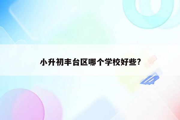 小升初丰台区哪个学校好些?