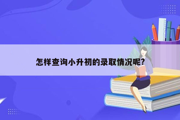 怎样查询小升初的录取情况呢?