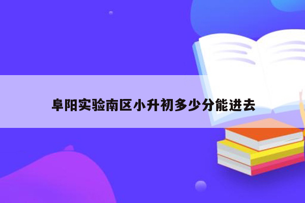 阜阳实验南区小升初多少分能进去