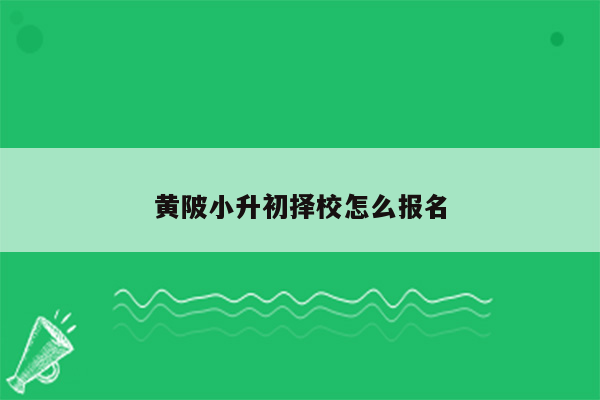 黄陂小升初择校怎么报名