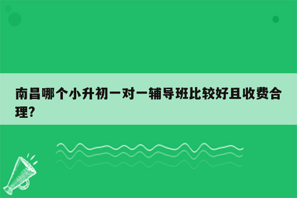 南昌哪个小升初一对一辅导班比较好且收费合理?