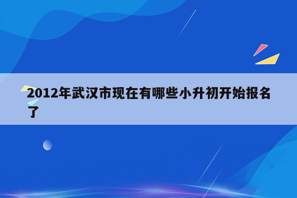 2012年武汉市现在有哪些小升初开始报名了