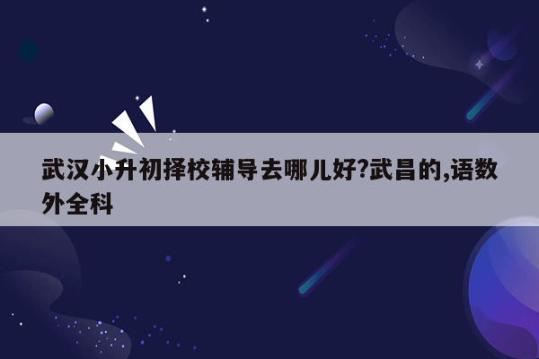 武汉小升初择校辅导去哪儿好?武昌的,语数外全科