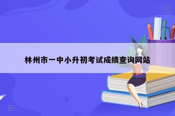 林州市一中小升初考试成绩查询网站