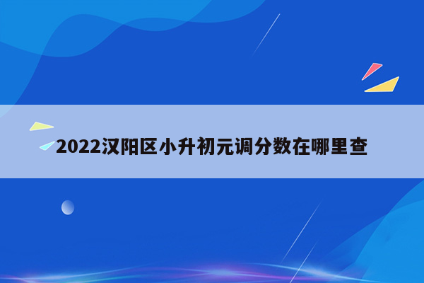 2022汉阳区小升初元调分数在哪里查