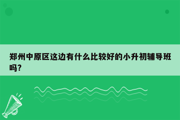 郑州中原区这边有什么比较好的小升初辅导班吗?