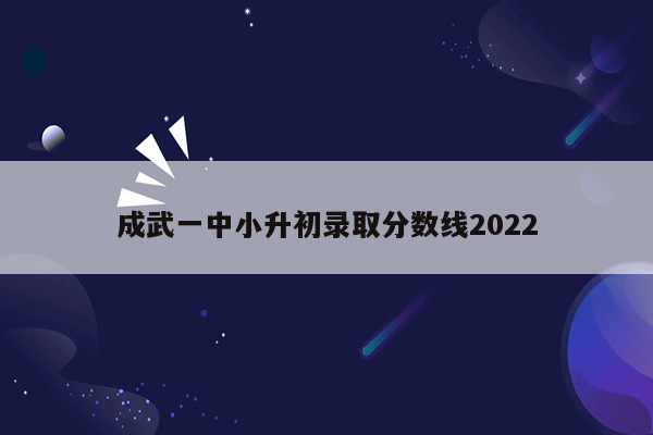 成武一中小升初录取分数线2022