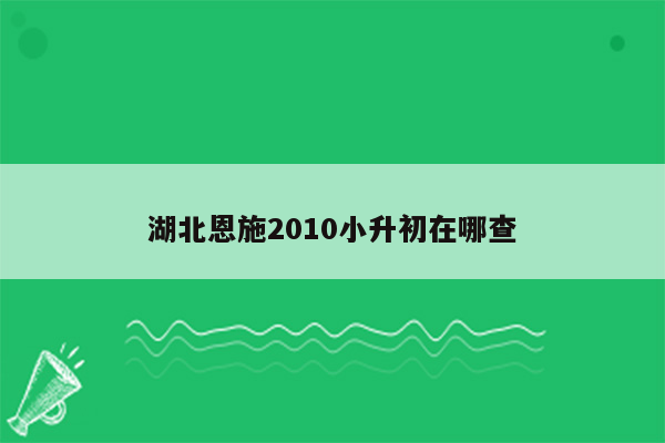 湖北恩施2010小升初在哪查