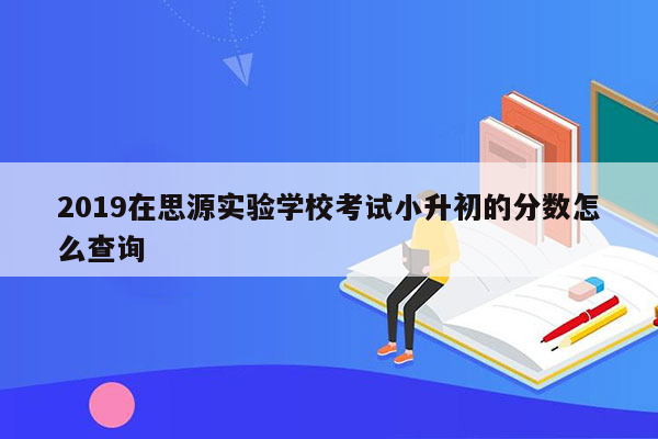 2019在思源实验学校考试小升初的分数怎么查询