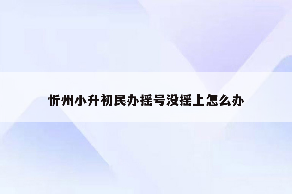 忻州小升初民办摇号没摇上怎么办