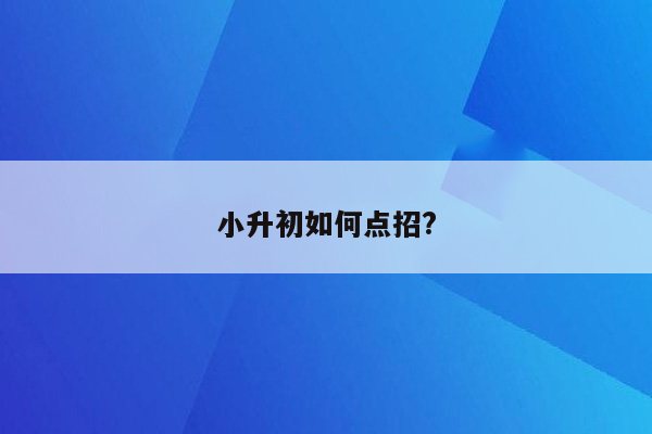 小升初如何点招?