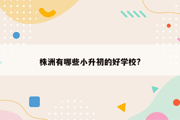 株洲有哪些小升初的好学校?