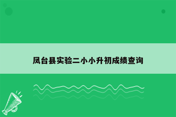 凤台县实验二小小升初成绩查询