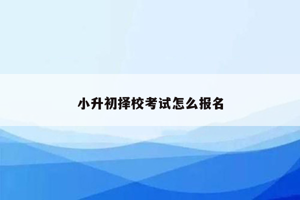 小升初择校考试怎么报名