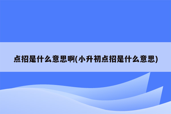 点招是什么意思啊(小升初点招是什么意思)