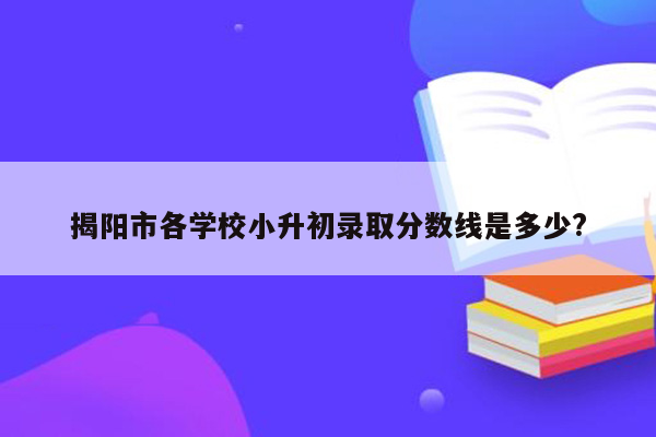 揭阳市各学校小升初录取分数线是多少?