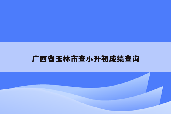 广西省玉林市查小升初成绩查询