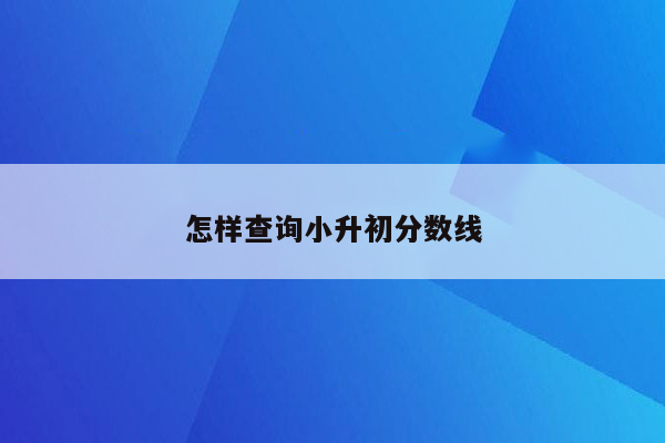 怎样查询小升初分数线