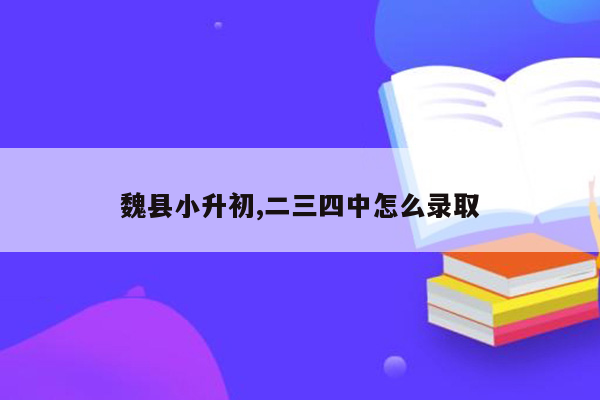 魏县小升初,二三四中怎么录取