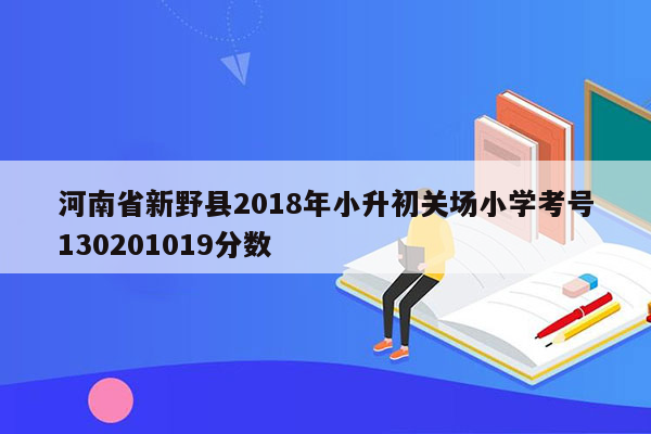 河南省新野县2018年小升初关场小学考号130201019分数