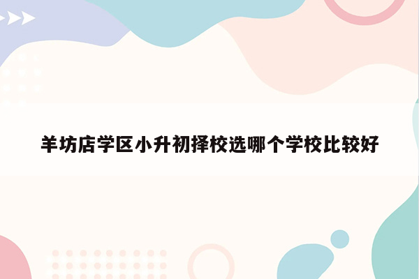 羊坊店学区小升初择校选哪个学校比较好