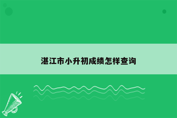 湛江市小升初成绩怎样查询