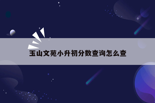 玉山文苑小升初分数查询怎么查