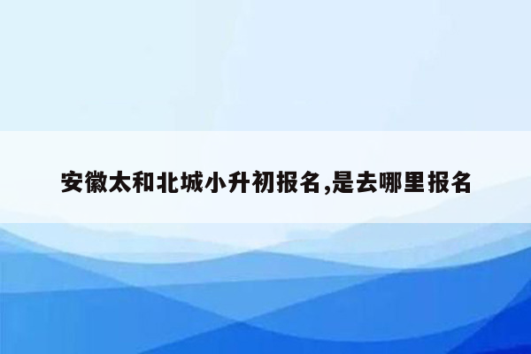 安徽太和北城小升初报名,是去哪里报名