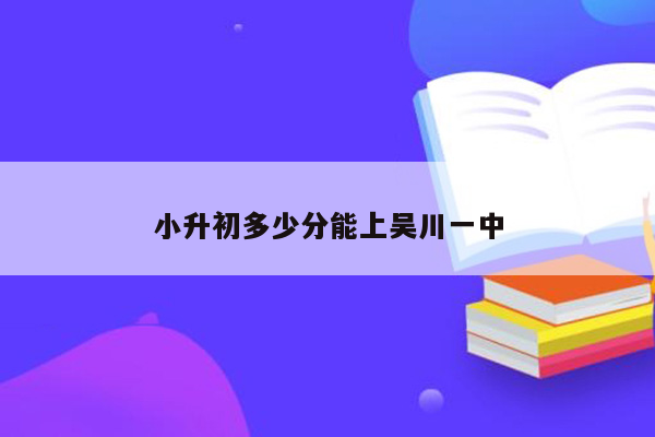 小升初多少分能上吴川一中