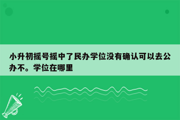 小升初摇号摇中了民办学位没有确认可以去公办不。学位在哪里