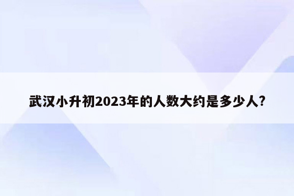 武汉小升初2023年的人数大约是多少人?