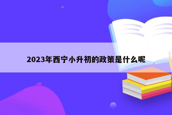 2023年西宁小升初的政策是什么呢