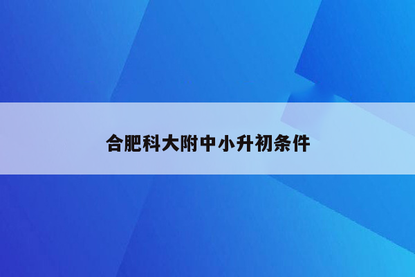 合肥科大附中小升初条件