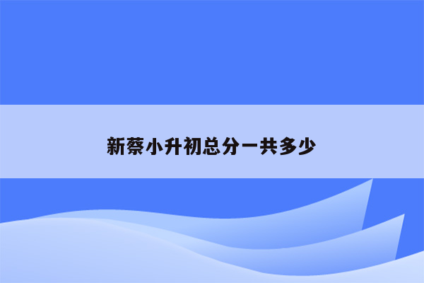 新蔡小升初总分一共多少