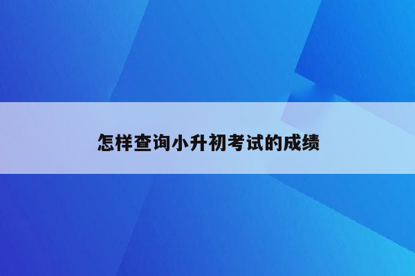 怎样查询小升初考试的成绩