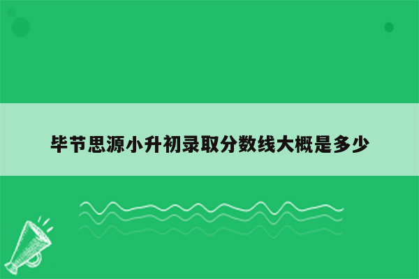 毕节思源小升初录取分数线大概是多少