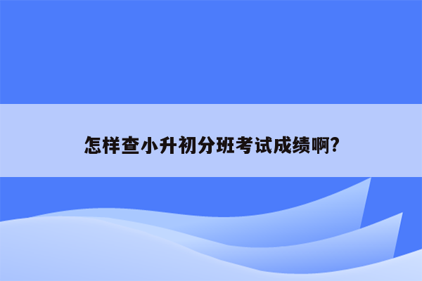 怎样查小升初分班考试成绩啊?