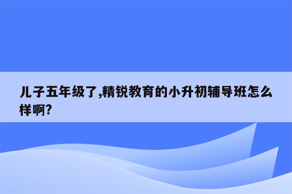 儿子五年级了,精锐教育的小升初辅导班怎么样啊?