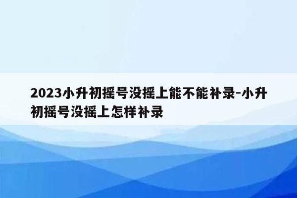 2023小升初摇号没摇上能不能补录-小升初摇号没摇上怎样补录