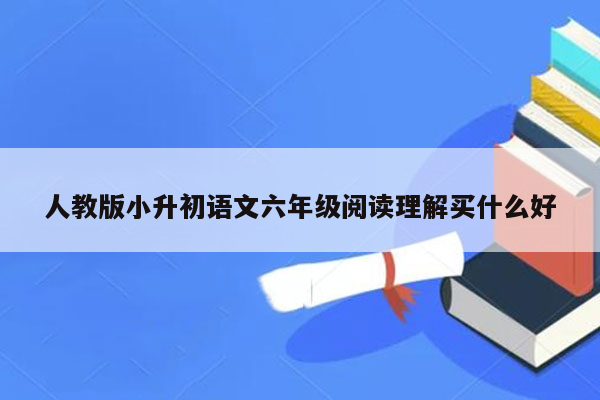 人教版小升初语文六年级阅读理解买什么好