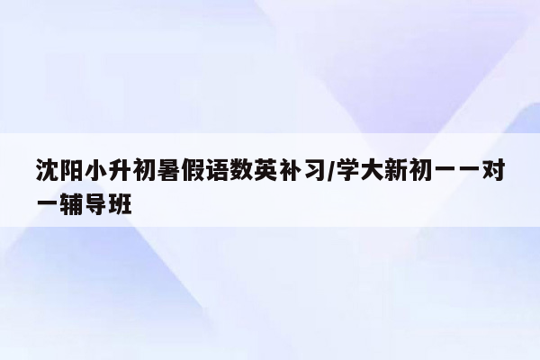 沈阳小升初暑假语数英补习/学大新初一一对一辅导班