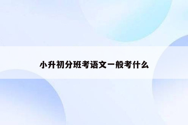 小升初分班考语文一般考什么