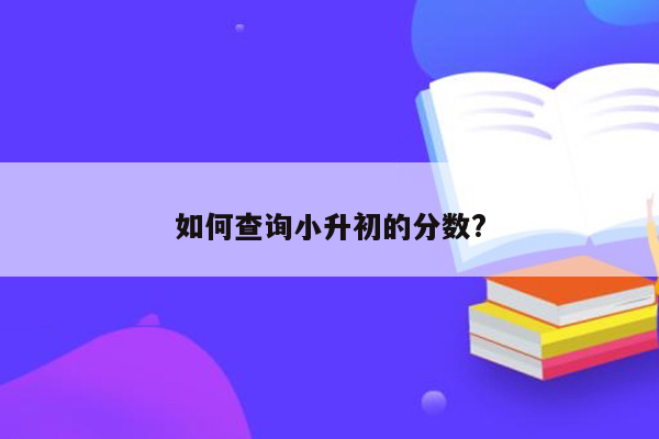 如何查询小升初的分数?